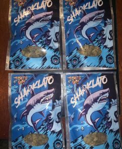 sharklato runtz strain