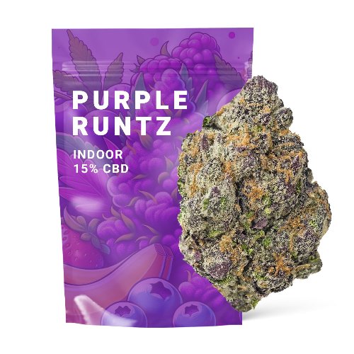 purple runtz purple runtz strain
