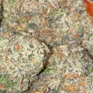 alien cookies strain