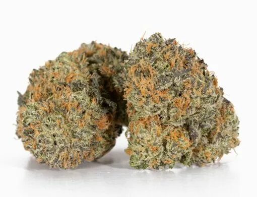 blackberry moonrocks strain blackberry moonrocks strain