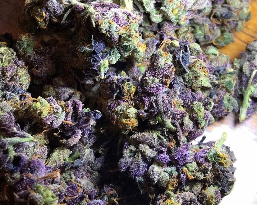granddaddy purple granddaddy purple
