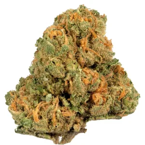 jack herer strain