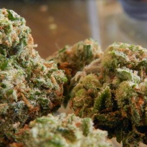 strawberry cough strain